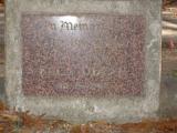image of grave number 505225